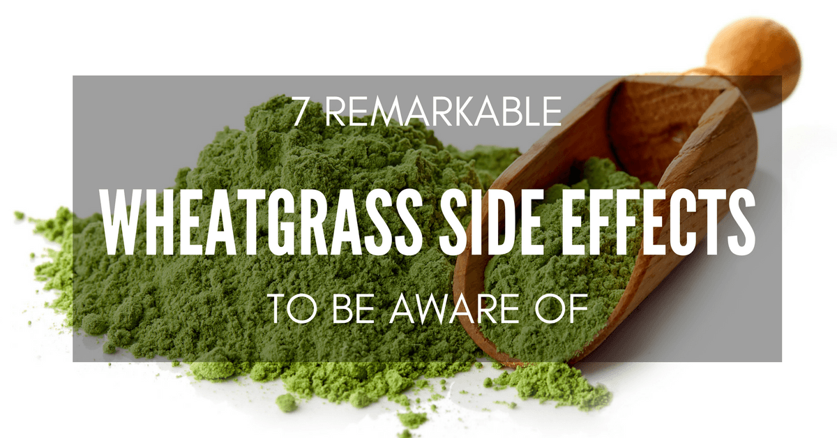 wheatgrass side effects