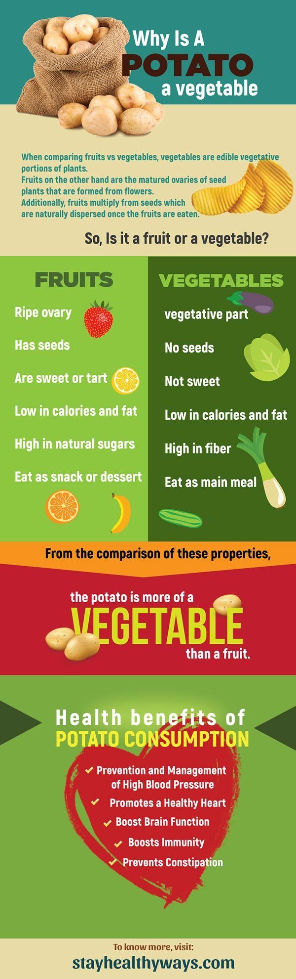 potato is fruit or vegetable infographic 