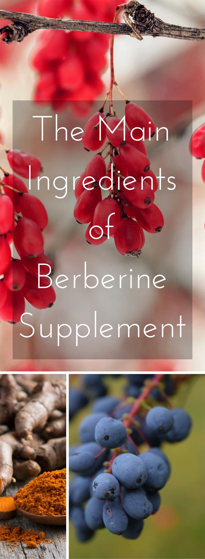 main components of berberine supplement: barberry, Oregon grape, and turmeric tree