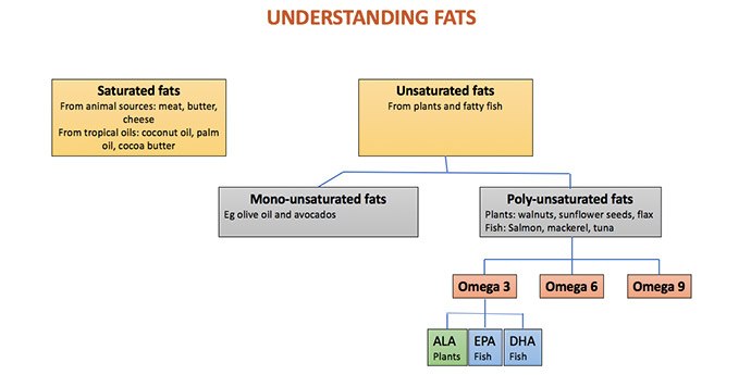 Understanding fats