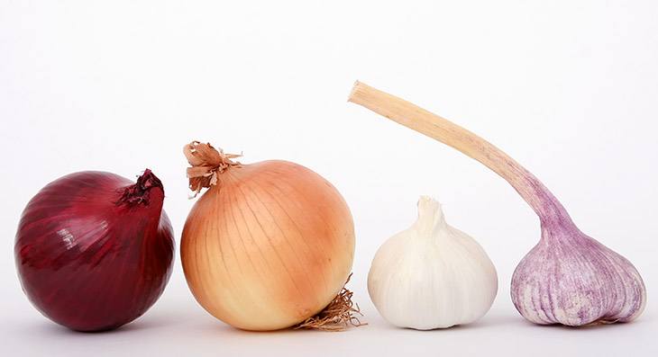onions and garlic atherosclerosis