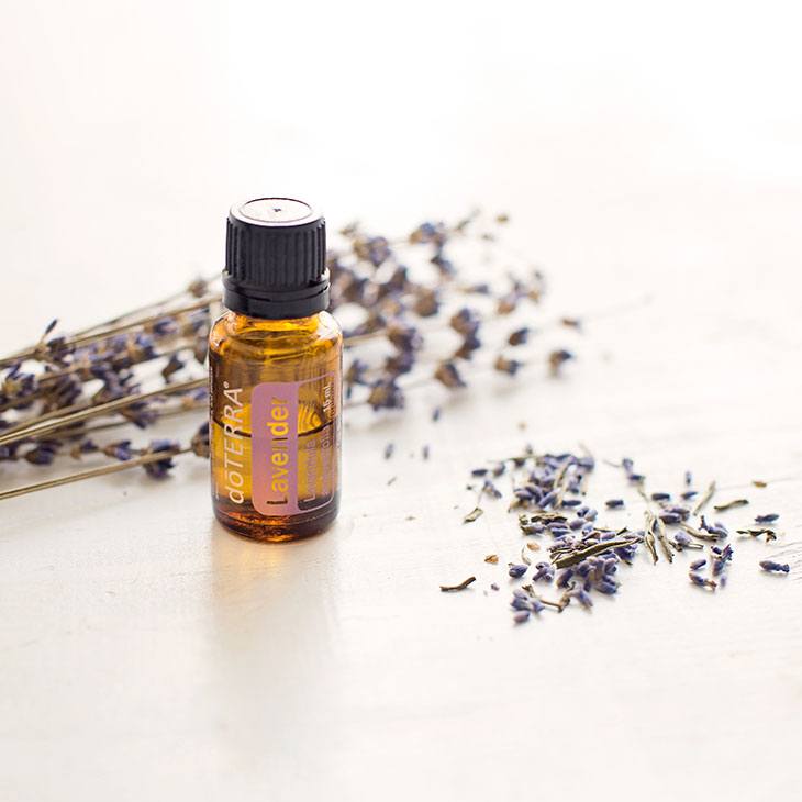 Lavender Essential Oils for Poison Ivy