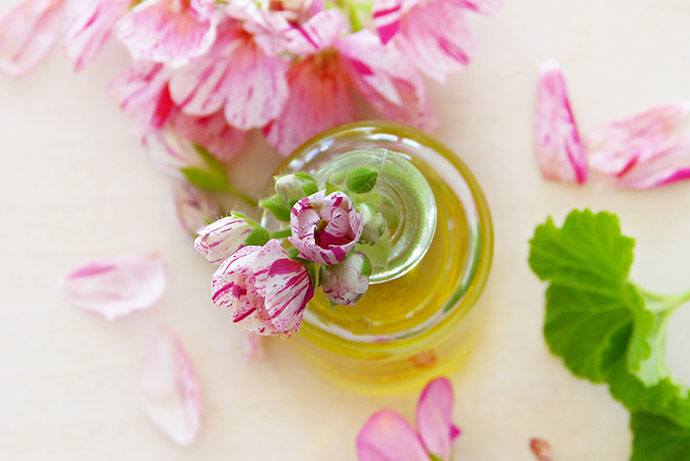 Geranium Essential Oils for Poison Ivy